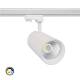 Product van Track Spot LED 3-Fase 30W CCT d'Angelo Wit LIFUD.