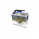 Product van Aquarium lamp Nano LED 6W IP66