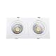 Product van Downlight New Madison Double Rechthoekig LED 20W Zaag maat 205x90 mm