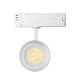 Produit de Spot LED sur Rail Triphasé 30W d'Angelo CCT PHILIPS Xitanium Blanc