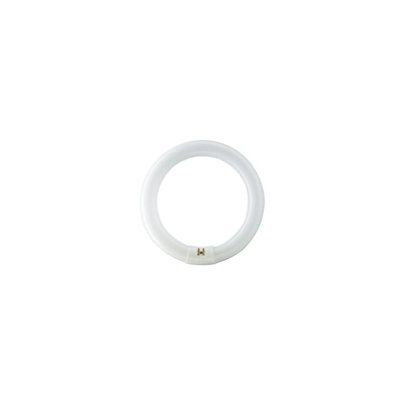 Product of 22W Round C-T29 G10q Glass Tube with One Sided Connection Super 80 PHILIPS Ø20 cm 