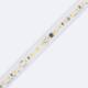 Product of Custom Length 220V Dimmable Autorectified SMD2835 LED Strip 120LED/m 1000lm/m 12mm Wide Cut at Every 10cm IP65