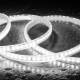 Product of 220V Dimmable LED Strip SMD2835 120LED/m 12mm Wide Cut at Every 100cm IP65