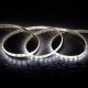 Product of 5m 24V DC 60 LEDs/m CCT Selectable LED Strip 10mm Wide cut at Every 5cm IP65 