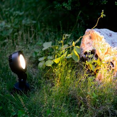 Tuinspot Argo 3W LED met Spike