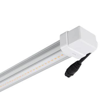 Tubo LED T8 G13 60 cm per la Coltivazione Batten Grow 10W