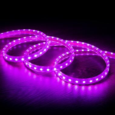 Purple LED Strip 220V AC 60 LED/m IP65