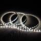 Product van LED Strip 24V DC SMD2835 60LED/m 5m IP20 Breedte 8mm te knippen om de 10cm